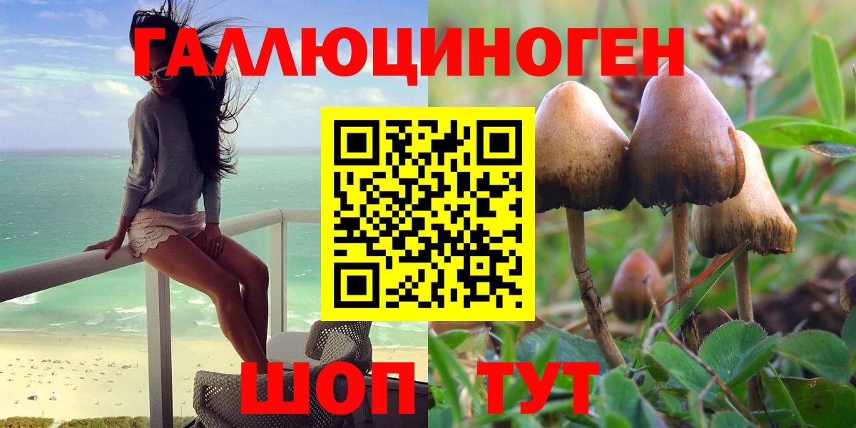 Галлюциногенные грибы MAGIC MUSHROOMS  Галлюциногенные грибы ЛСД  Вязьма  Вход с VPN 