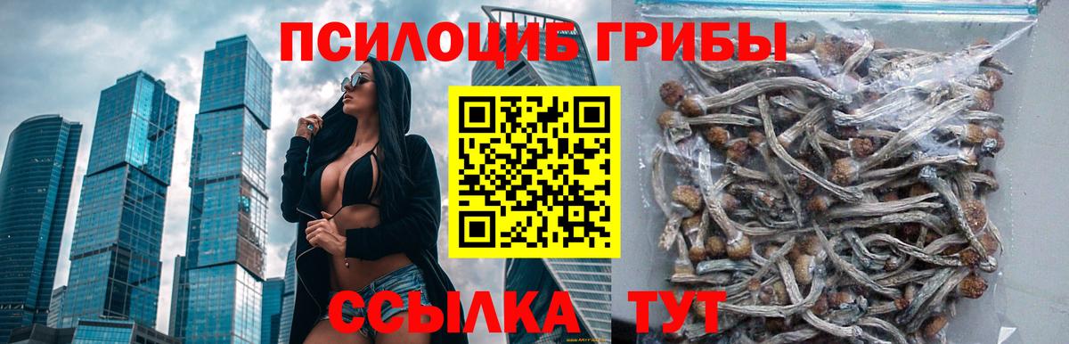 Псилоцибиновые грибы прущие грибы Вязьма